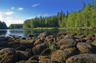 Russia, Karelia, the river Chirka-Kem. These stones are usually covered by water, but this summer