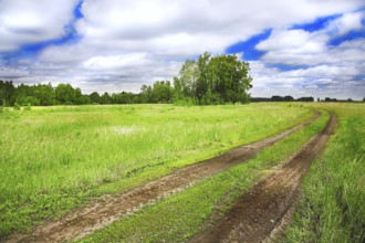 Old rural road and cloudy blue sky