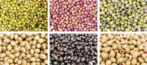 Photo collection of different colorful tasty olives