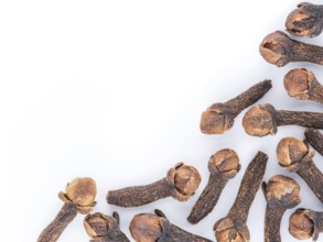 Cloves spice on white background with copy space. Isolated one edge. Top view or flat lay