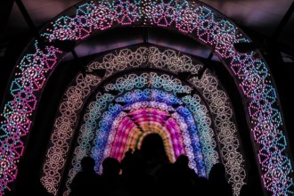 Light of the tunnel (Christmas illuminations). Shooting Location: Tokyo metropolitan area