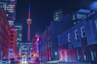 CN Tower (Canada Toronto). Shooting Location: Toronto