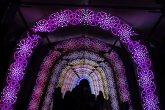 Light of the tunnel (Christmas illuminations). Shooting Location: Tokyo metropolitan area