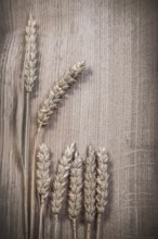 Composition of wheat rye ears on wooden board