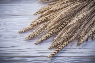 Heap of golden wheat rye ears on wooden board food and drink concept