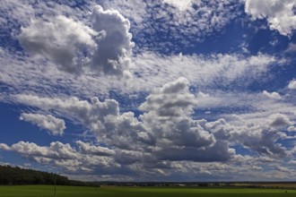 Clouds