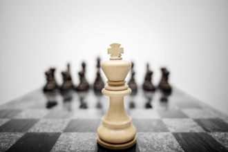 The expressive photo of the chess king standing in front of the set of pieces of a different colour