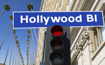 Hollywood Boulevard redlight sign illustration on palm trees background
