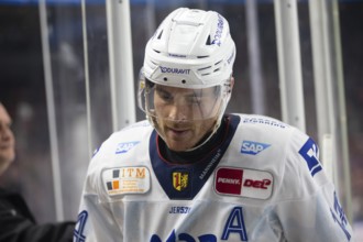 LanxessArena, Cologne, North Rhine-Westphalia, Jordan Szwarz (Adler Mannheim, #14), PENNY DEL,