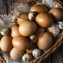 Fresh eggs straight from the farm in a basket