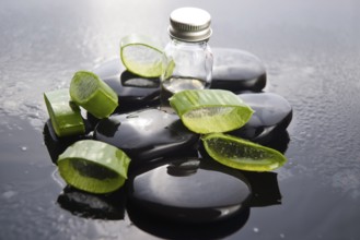 Sliced aloe leaves with oil on the stone, lodz, poland
