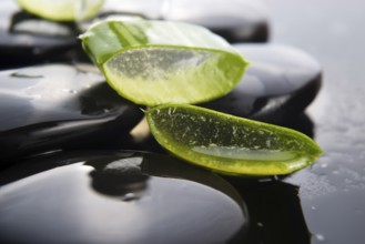 Sliced aloe leaves with oil on the stone, lodz, poland