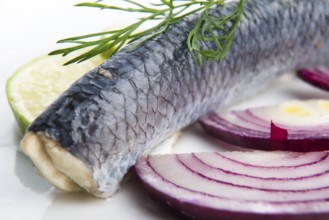 Fillet herring with onion and lemon, lodz, poland