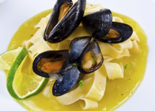 Mussels