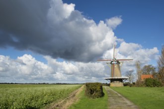 Dutch windmill De Korenbloem in Zonnemaire zeeland