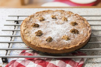 Baked walnut cake in kitchen