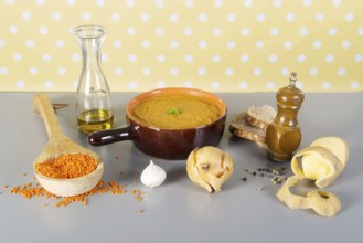 Home made vegetarian lentil soup with ingredients