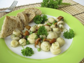 Mushroom salad with button mushrooms and mallard mushrooms