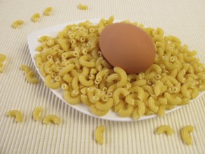 Egg noodles and an egg