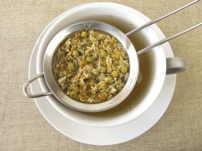 Camomile tea in a tea strainer