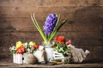 Garden tools for flowers over wooden background
