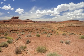 Scenic desert landscape with red mesas in the Valley of the Gods in Utah, United States, North