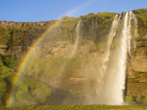 Rainbow at Seljalandsfoss waterfall, South Iceland, Iceland, Europe