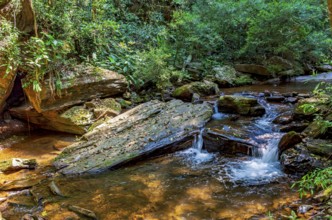 Small river running through the forest with water flowing between rocks and vegetation in the state