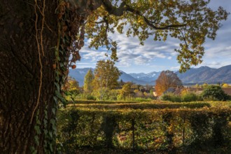 Autumn scenic with the view from the town Murnau to the alps