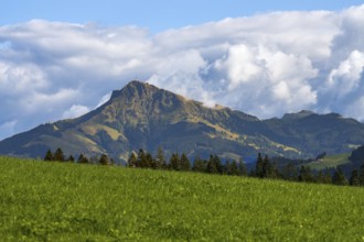 View to the Kitzbüheler Horn mountain in the alps of Austria