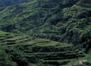 Philippines: Riceterraces of Banaue - Unesco World Heritage
