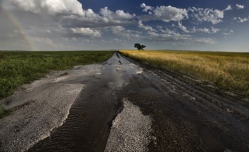 Prairie Road Storm Clouds Saskatchewan Canada field