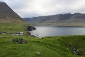 Typical landscape on the Faroe Islands, with green grass and rocks and Vidareidi, Vidareidi, Faroe