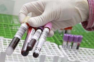 Blood donation