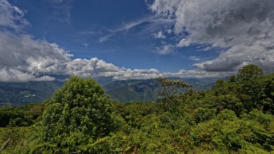 A view of dense forest with a backdrop of mountains and a clear sky filled with clouds, Andes