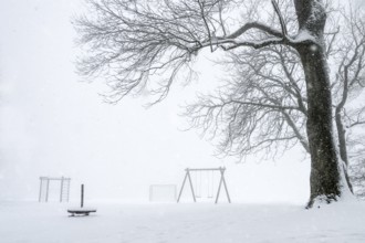 White winter landscape with a big leafless tree and an empty playground covered by snow, while