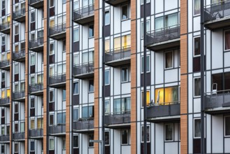 Leuven, Flemish Brabant Region, Belgium, 01 29 2022: Detail of windows and balconies at a social