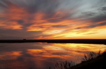Sunset Rural Saskatchewan near Moose Jaw farmland
