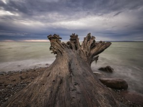 The Baltic Sea coast on the island of Rügen