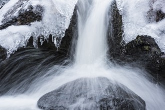 Winter stream, Dundret Nature Reserve, Gällivare, Norrbotten, Lapland, Sweden, October 2016, Europe
