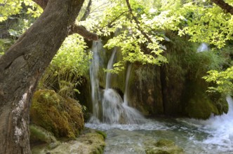Beautiful landscape in the Plitvice Lakes National Park in Croatia
