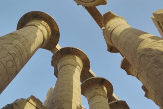 Top of columns in Karnak temple with ancient egypt hieroglyphics