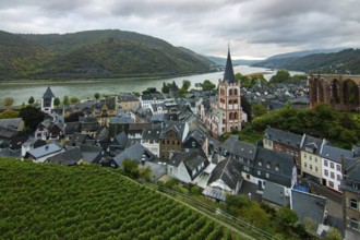 Half-timbered houses in a small village. Morning in the wine-growing region on the Rhine,