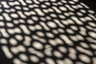 Shadow of a jali, the sandstone latticed screen in a window of Humayun's Tomb, the burial place of