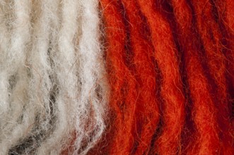 White and red wool fibers closeup