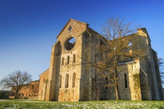 Photo shoot of the famous roofless church of San Galgano in the lands near Siena Italy