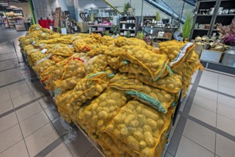Potatoes in nets in a wholesale market, Allgäu, Bavaria, Germany, Europe