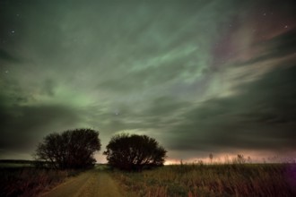 Northern Lights Canada green and purple Saskatchewan