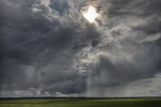 Newly Planted Crop in Saskatchewan Canada summer
