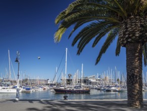 Urban marina view and pedestrian promenade in port vell area of barcelona spain